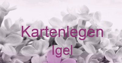 Kartenlegen Igel | Top-Experten für Kartenlegen, Wahrsagen, Hellsehen, Zukunftsdeutung.