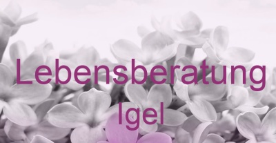 Lebensberatung Igel | Top-Experten für Kartenlegen, Wahrsagen, Hellsehen, Zukunftsdeutung.