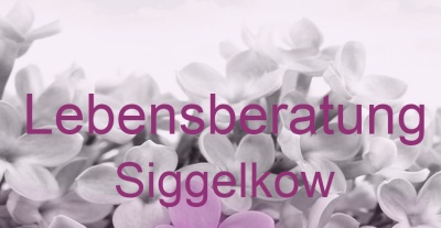 Lebensberatung Siggelkow | Top-Experten für Kartenlegen, Wahrsagen, Hellsehen, Zukunftsdeutung. Lebensberatung Siggelkow | Top-Experten für Kartenlegen, Wahrsagen, Hellsehen, Zukunftsdeutung.