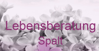 Lebensberatung Spalt | Top-Experten für Kartenlegen, Wahrsagen, Hellsehen, Zukunftsdeutung.