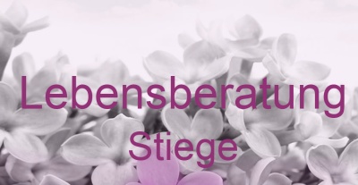 Lebensberatung Stiege | Top-Experten für Kartenlegen, Wahrsagen, Hellsehen, Zukunftsdeutung. Lebensberatung Stiege | Top-Experten für Kartenlegen, Wahrsagen, Hellsehen, Zukunftsdeutung.