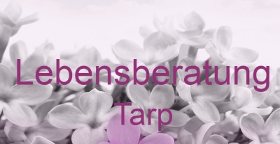 Lebensberatung Tarp | Top-Experten für Kartenlegen, Wahrsagen, Hellsehen, Zukunftsdeutung. Lebensberatung Tarp | Top-Experten für Kartenlegen, Wahrsagen, Hellsehen, Zukunftsdeutung.