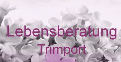 Lebensberatung Trimport | Top-Experten für Kartenlegen, Wahrsagen, Hellsehen, Zukunftsdeutung.