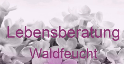 Lebensberatung Waldfeucht | Top-Experten für Kartenlegen, Wahrsagen, Hellsehen, Zukunftsdeutung. Lebensberatung Waldfeucht | Top-Experten für Kartenlegen, Wahrsagen, Hellsehen, Zukunftsdeutung.