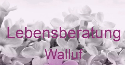 Lebensberatung Walluf | Top-Experten für Kartenlegen, Wahrsagen, Hellsehen, Zukunftsdeutung. Lebensberatung Walluf | Top-Experten für Kartenlegen, Wahrsagen, Hellsehen, Zukunftsdeutung.