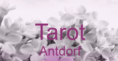 Tarot Antdorf | Top-Experten für Kartenlegen, Wahrsagen, Hellsehen, Zukunftsdeutung. Tarot Antdorf | Top-Experten für Kartenlegen, Wahrsagen, Hellsehen, Zukunftsdeutung.