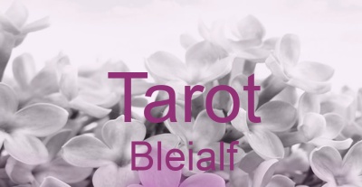 Tarot Bleialf | Top-Experten für Kartenlegen, Wahrsagen, Hellsehen, Zukunftsdeutung. Tarot Bleialf | Top-Experten für Kartenlegen, Wahrsagen, Hellsehen, Zukunftsdeutung.