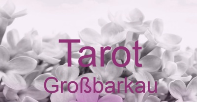 Tarot Großbarkau | Top-Experten für Kartenlegen, Wahrsagen, Hellsehen, Zukunftsdeutung. Tarot Großbarkau | Top-Experten für Kartenlegen, Wahrsagen, Hellsehen, Zukunftsdeutung.