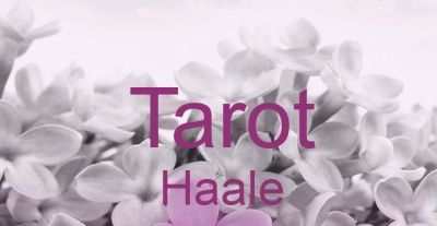 Tarot Haale | Top-Experten für Kartenlegen, Wahrsagen, Hellsehen, Zukunftsdeutung. Tarot Haale | Top-Experten für Kartenlegen, Wahrsagen, Hellsehen, Zukunftsdeutung.