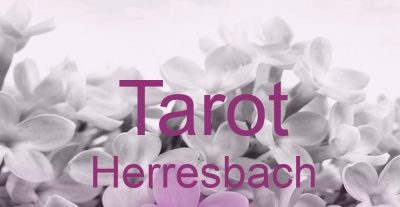 Tarot Herresbach | Top-Experten für Kartenlegen, Wahrsagen, Hellsehen, Zukunftsdeutung.