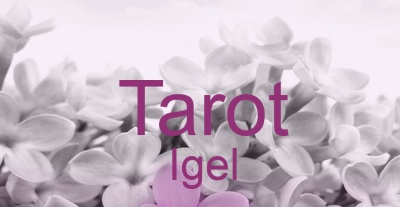 Tarot Igel | Top-Experten für Kartenlegen, Wahrsagen, Hellsehen, Zukunftsdeutung.