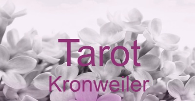 Tarot Kronweiler | Top-Experten für Kartenlegen, Wahrsagen, Hellsehen, Zukunftsdeutung. Tarot Kronweiler | Top-Experten für Kartenlegen, Wahrsagen, Hellsehen, Zukunftsdeutung.