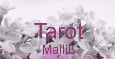 Tarot Malliß | Top-Experten für Kartenlegen, Wahrsagen, Hellsehen, Zukunftsdeutung. Tarot Malliß | Top-Experten für Kartenlegen, Wahrsagen, Hellsehen, Zukunftsdeutung.