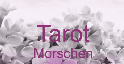 Tarot Morschen | Top-Experten für Kartenlegen, Wahrsagen, Hellsehen, Zukunftsdeutung. Tarot Morschen | Top-Experten für Kartenlegen, Wahrsagen, Hellsehen, Zukunftsdeutung.