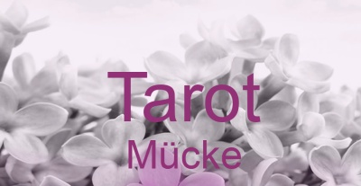 Tarot Mücke | Top-Experten für Kartenlegen, Wahrsagen, Hellsehen, Zukunftsdeutung. Tarot Mücke | Top-Experten für Kartenlegen, Wahrsagen, Hellsehen, Zukunftsdeutung.