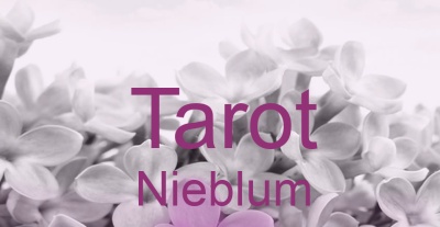 Tarot Nieblum | Top-Experten für Kartenlegen, Wahrsagen, Hellsehen, Zukunftsdeutung. Tarot Nieblum | Top-Experten für Kartenlegen, Wahrsagen, Hellsehen, Zukunftsdeutung.