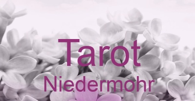 Tarot Niedermohr | Top-Experten für Kartenlegen, Wahrsagen, Hellsehen, Zukunftsdeutung. Tarot Niedermohr | Top-Experten für Kartenlegen, Wahrsagen, Hellsehen, Zukunftsdeutung.