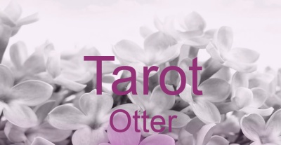 Tarot Otter | Top-Experten für Kartenlegen, Wahrsagen, Hellsehen, Zukunftsdeutung. Tarot Otter | Top-Experten für Kartenlegen, Wahrsagen, Hellsehen, Zukunftsdeutung.