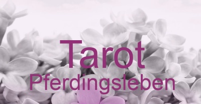 Tarot Pferdingsleben | Top-Experten für Kartenlegen, Wahrsagen, Hellsehen, Zukunftsdeutung. Tarot Pferdingsleben | Top-Experten für Kartenlegen, Wahrsagen, Hellsehen, Zukunftsdeutung.