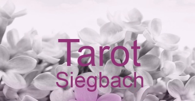 Tarot Siegbach | Top-Experten für Kartenlegen, Wahrsagen, Hellsehen, Zukunftsdeutung. Tarot Siegbach | Top-Experten für Kartenlegen, Wahrsagen, Hellsehen, Zukunftsdeutung.