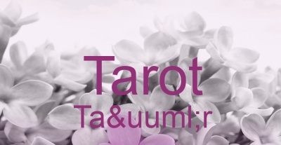 Tarot Taür | Top-Experten für Kartenlegen, Wahrsagen, Hellsehen, Zukunftsdeutung.