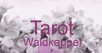 Tarot Waldkappel | Top-Experten für Kartenlegen, Wahrsagen, Hellsehen, Zukunftsdeutung. Tarot Waldkappel | Top-Experten für Kartenlegen, Wahrsagen, Hellsehen, Zukunftsdeutung.
