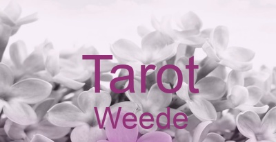 Tarot Weede | Top-Experten für Kartenlegen, Wahrsagen, Hellsehen, Zukunftsdeutung. Tarot Weede | Top-Experten für Kartenlegen, Wahrsagen, Hellsehen, Zukunftsdeutung.