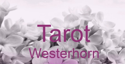 Tarot Westerhorn | Top-Experten für Kartenlegen, Wahrsagen, Hellsehen, Zukunftsdeutung. Tarot Westerhorn | Top-Experten für Kartenlegen, Wahrsagen, Hellsehen, Zukunftsdeutung.