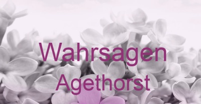 Wahrsagen Agethorst | Top-Experten für Kartenlegen, Wahrsagen, Hellsehen, Zukunftsdeutung. Wahrsagen Agethorst | Top-Experten für Kartenlegen, Wahrsagen, Hellsehen, Zukunftsdeutung.