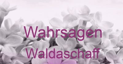 Wahrsagen Waldaschaff | Top-Experten für Kartenlegen, Wahrsagen, Hellsehen, Zukunftsdeutung. Wahrsagen Waldaschaff | Top-Experten für Kartenlegen, Wahrsagen, Hellsehen, Zukunftsdeutung.